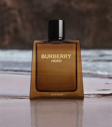 chero burberry|burberry the hero game.